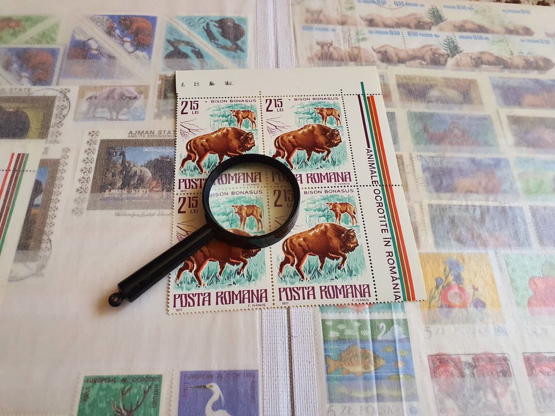 Bison stamps and postal items collection