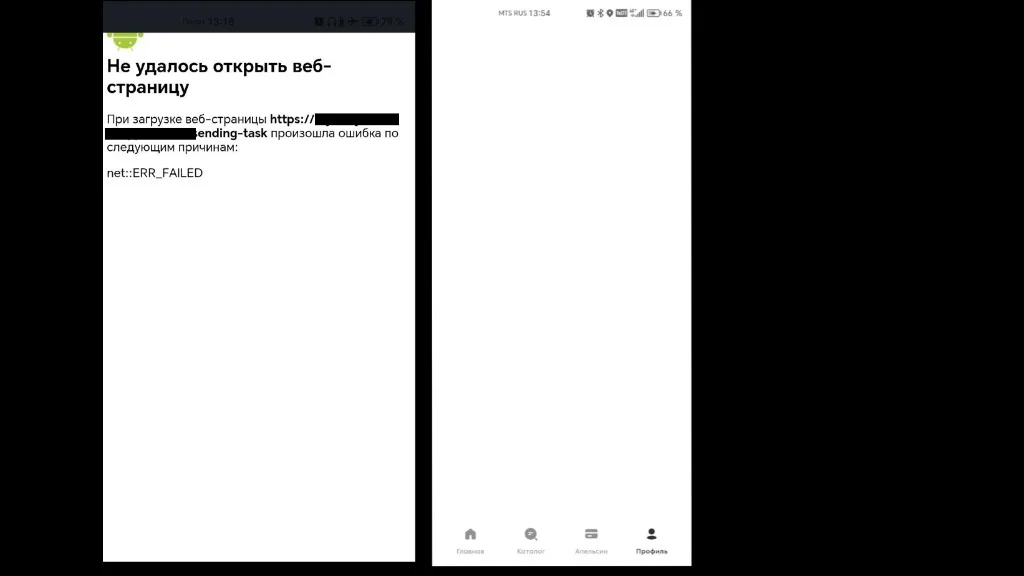 White screen and system WebView error with no static fallback