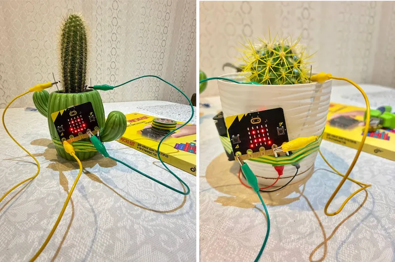 Датчик на кактусах